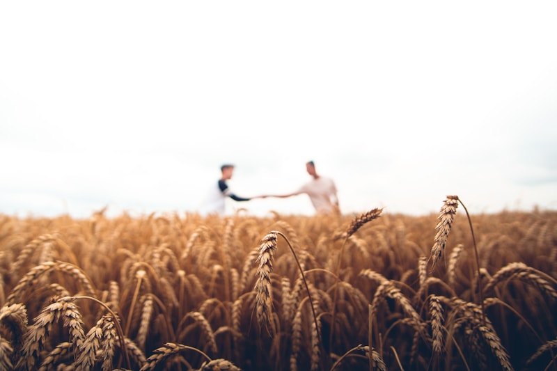 Smart Crop Intelligence Platform